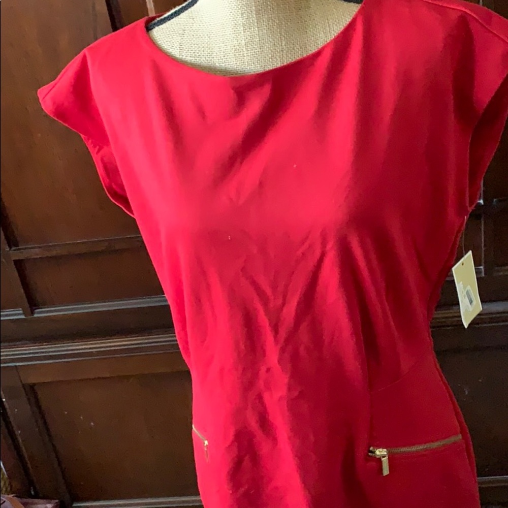 Michael Kors Dress with gold zipper up the back